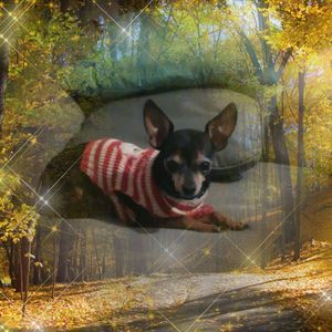 Meet your Posher, Kathy